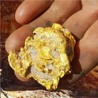 Activated Carbon For Gold Recovery