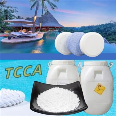High Quality 90% Chlorine Containing Disinfectant TCCA For Disinfection Of Hospital Fish Pond Printing And Dyeing Industry